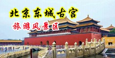 美女老师让我艹中国北京-东城古宫旅游风景区